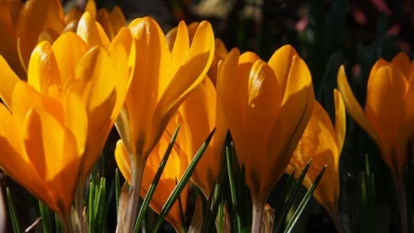 Предимно слънчево, но по-хладно