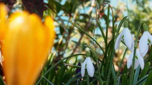 Облачно, дъждовно и по-студено   