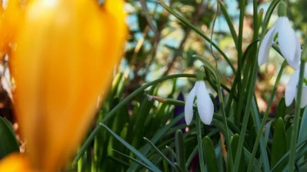 Облачно, на места дъждовно и студено