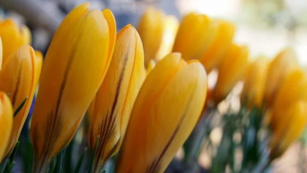 Облачно и дъждовно време