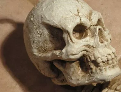Намериха човешки череп в необитаема къща във Велико Търново