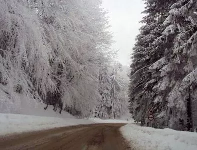 Снегът създава сериозни проблеми в Пловдивско