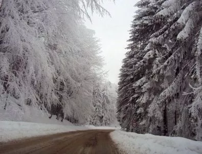Сняг заваля на Пампорово и Боровец