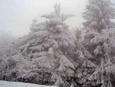 Двудневен снеговалеж блокира Хасково