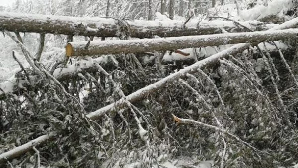 Пътищата в Кърджалийско са почистени на 95%