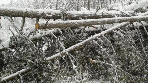 С милиони набъбват разходите от снежното бедствие