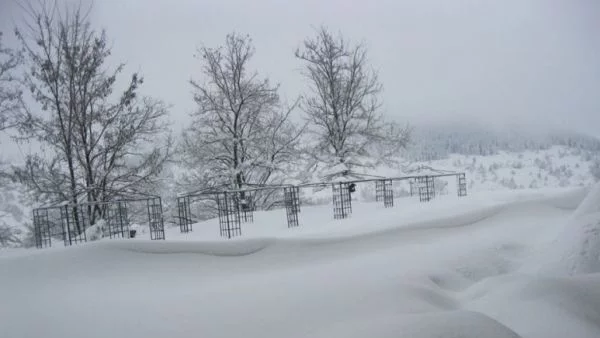 МВР: Постепенно се нормализира обстановката в областите Хасково, Кърджали и Смолян