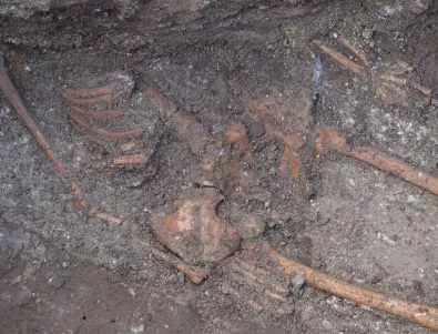 Откриха масов гроб на 7000 години с доказателства за праисторическо клане в Европа