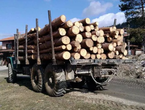 Частни фирми спекулират с цената на дървата за огрев