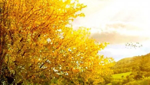 Дъжд и слънце ще се редуват до края на месеца