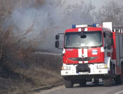 Голям пожар в горски масив край Благоевград*