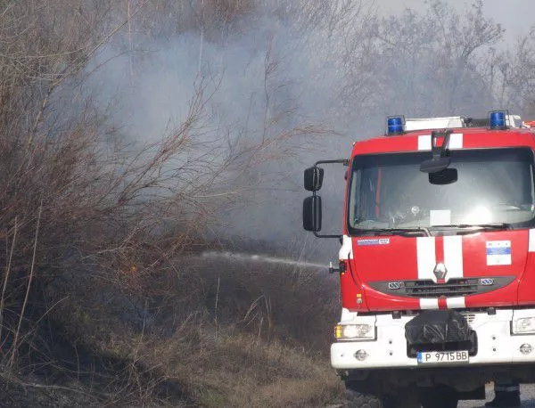 Г. Костов: Изгорелите 5 000 декара гора струват 10 млн. лева на бюджета
