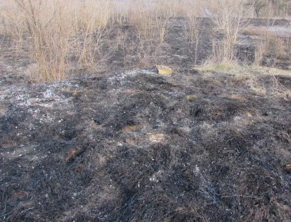 Пожар обхвана стотици декари гори в Хасковско