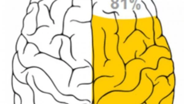 Тест: Проверете как работи мозъкът ви!