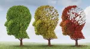 3 научно доказани начина да подобрите паметта си 