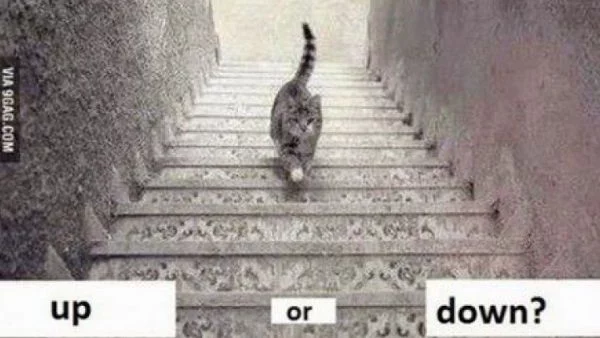 Тест: Котката върви нагоре или надолу? Какво ще отговорите вие