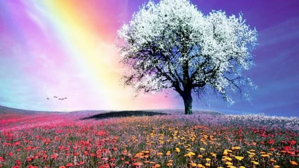 Виж кой цвят ти носи късмет според датата, на която си роден