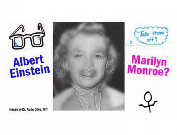 Кого виждате на снимката - Айнщайн или Мерилин Монро?