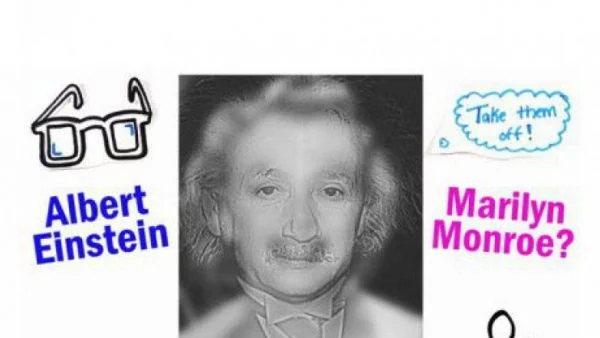 Кого виждате на снимката - Айнщайн или Мерилин Монро?