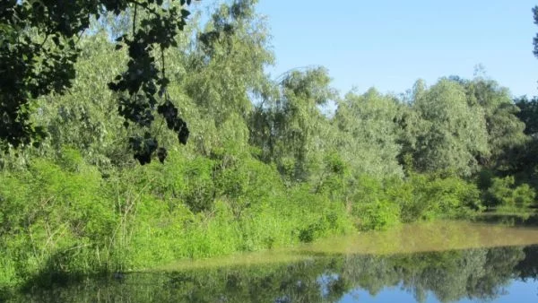 Днес ще има значителна облачност, с превалявания от дъжд