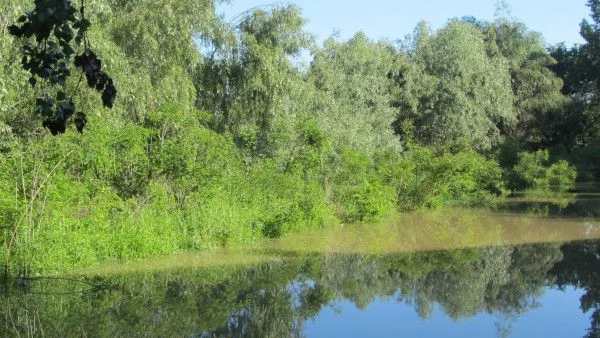 Намериха мъртви бащата и сина в Бургаското езеро Мандра