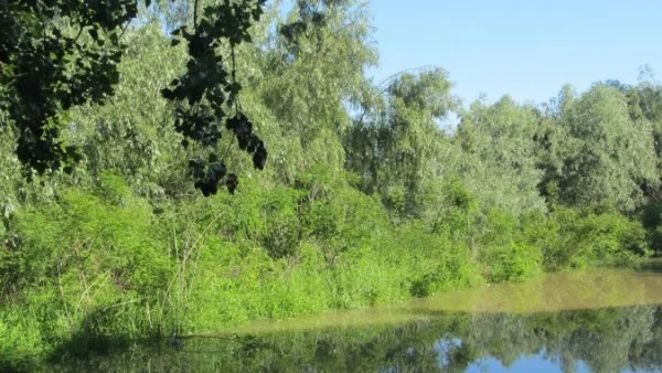 До 30 градуса днес, застудяване от вторник