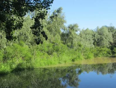 Българските вековни букови гори вече са в списъка на ЮНЕСКО