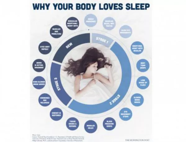 Kакво се случва с тялото ни, докато спим
