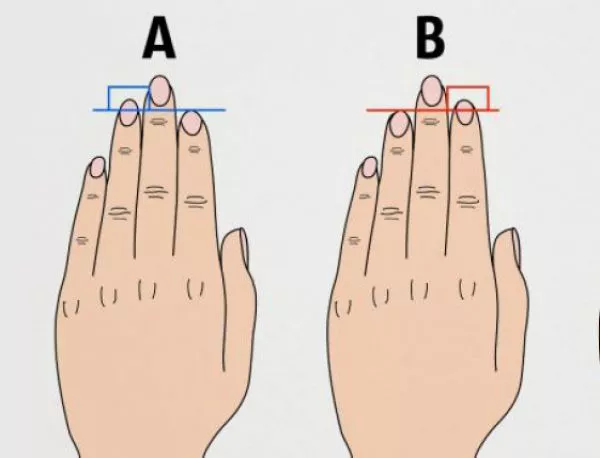 Дължината на пръстите разкрива характера ви