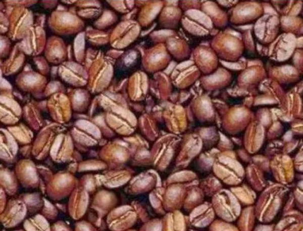 Откривате ли човек между зърната от кафе?