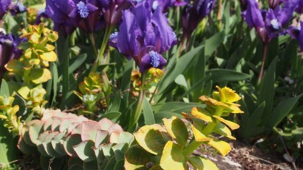 Предимно облачно, но топло