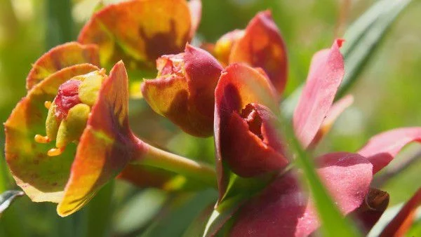 Слънчева и топла неделя