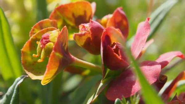 Ще започне да нахлува хладен въздух, максималните температури ще са между 20° и 25°