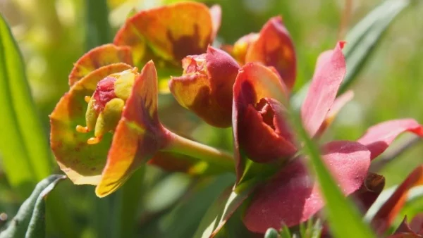 Прогноза за времето - 5 септември (вторник)