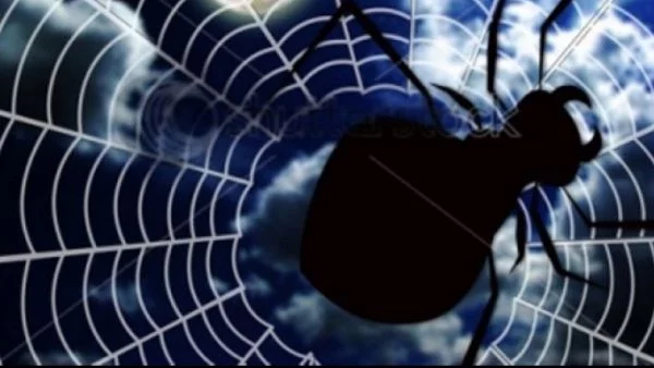 Уникално! Ето коя е забранената зодия и нейната съдба