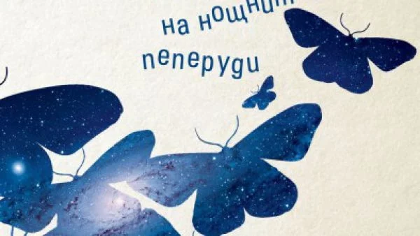  Дневният живот на нощните пеперуди 
