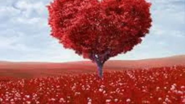 Как обичат различните зодии