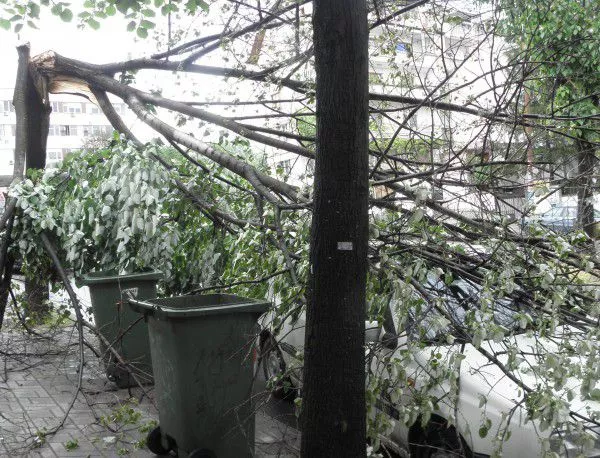 42 населени места са без ток, жена е пострадала в София заради бурята