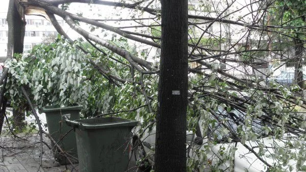 42 населени места са без ток, жена е пострадала в София заради бурята