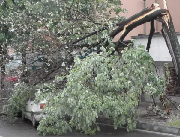 Гръмотевични бури и валежи в 13 области на България  