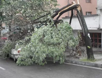 Цял ден чистят Пловдив след вчерашната буря