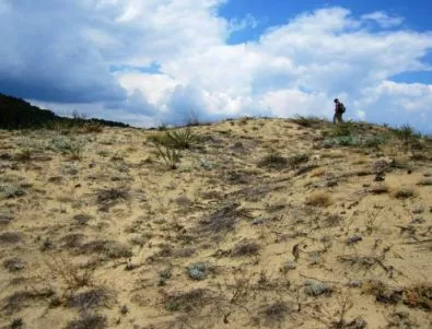 Дюните на Камчия се превръщат в офроуд писта