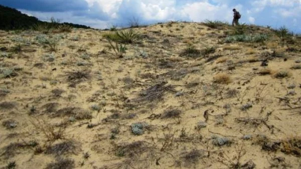 Дюните на Камчия се превръщат в офроуд писта