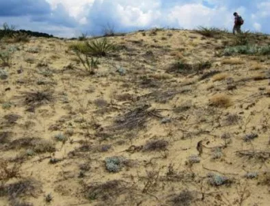 Екоинспекцията проверява целостта на дюните в Приморско