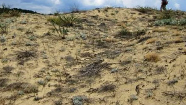 Екоинспекцията проверява целостта на дюните в Приморско