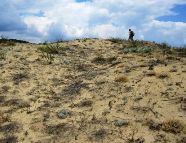 Не установиха увредени дюни от концесионера на плаж "Къмпинг Оазис"