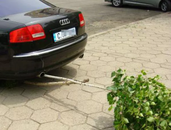 Наглец прекърши брезичка на паркинг в Стара Загора (СНИМКИ)