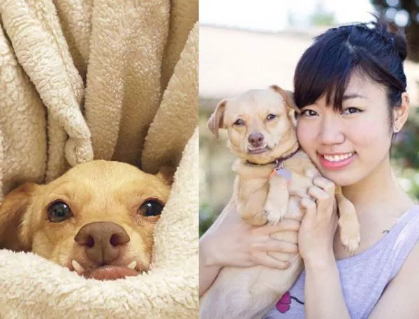 Затрогващо: Жена дава втори живот на невинно куче