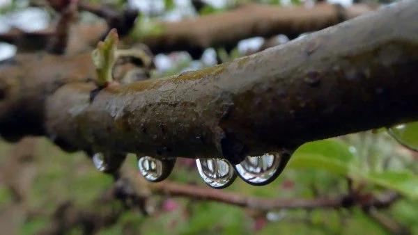 Дъжд и гръмотевици, температурите ще се понижат