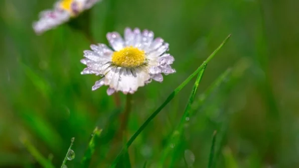 Днес по-значителни количества валежи се очакват в Северозападна България